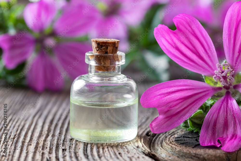 A bottle of mallow essential oil with malva sylvestris flowers A bottle of mallow essential oil with malva sylvestris flowers