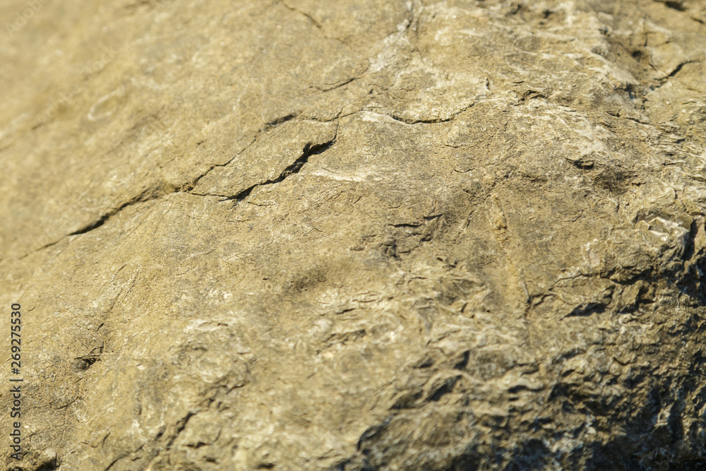 Rocky surface in the cracks close-up. Texture. Rocky surface in the cracks close-up. Texture.
