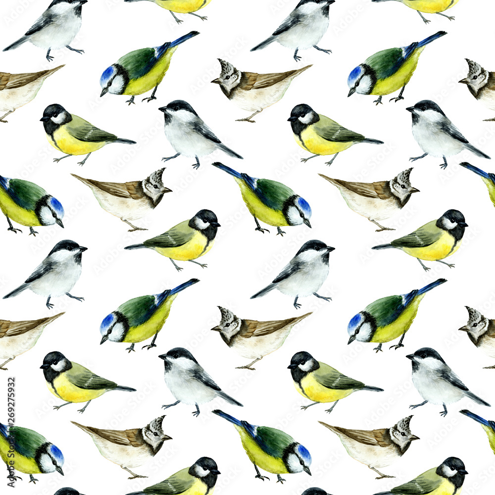 Watercolor drawing of tit birds. Seamless pattern Watercolor drawing of tit birds. Seamless pattern