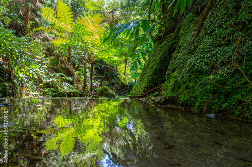 lakes in Sete Cidades volcanic craters on San Miguel island  Azores.