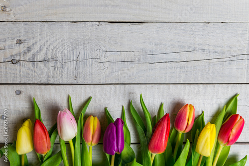 Colorful tulips on white vintage wooden background