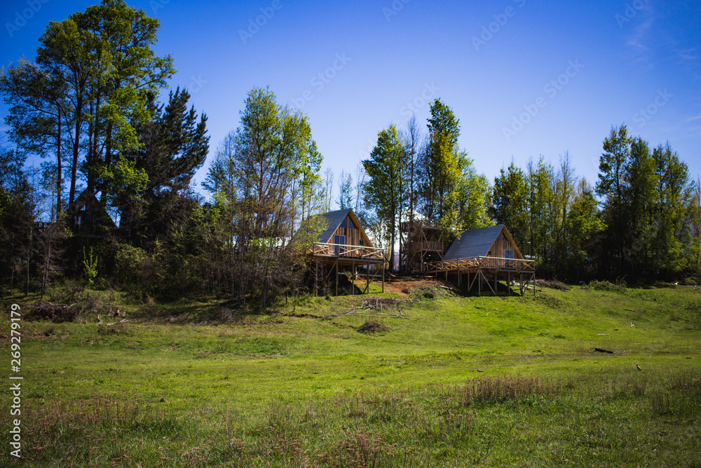 Obraz premium melipeuco region de la araucaria