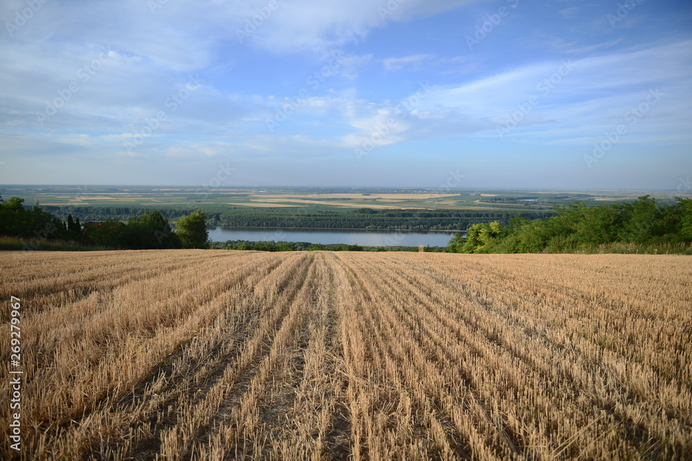 Field with river view Field with river view