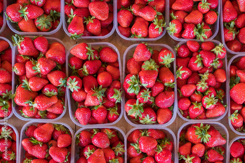Fotografija Fresh strawberries in plastic boxes