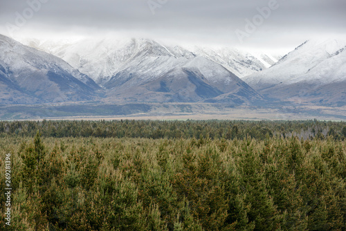 Forest by Ben Ohau mountain range in Dobson Valley, New Zealand photo