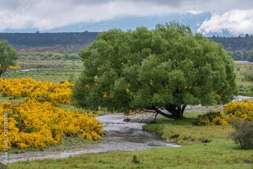 Eglinton River through Te Anau Downs, New Zealand photo