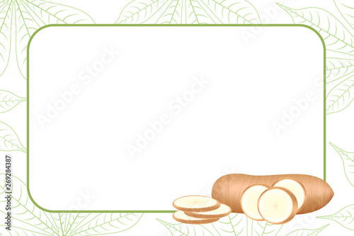 banner frame of cassava fresh for copy space, cassava cut slice for tapioca flour industry or ethanol, pile yucca cassava tuber on frame, raw manioc cassava on template banner green background empty