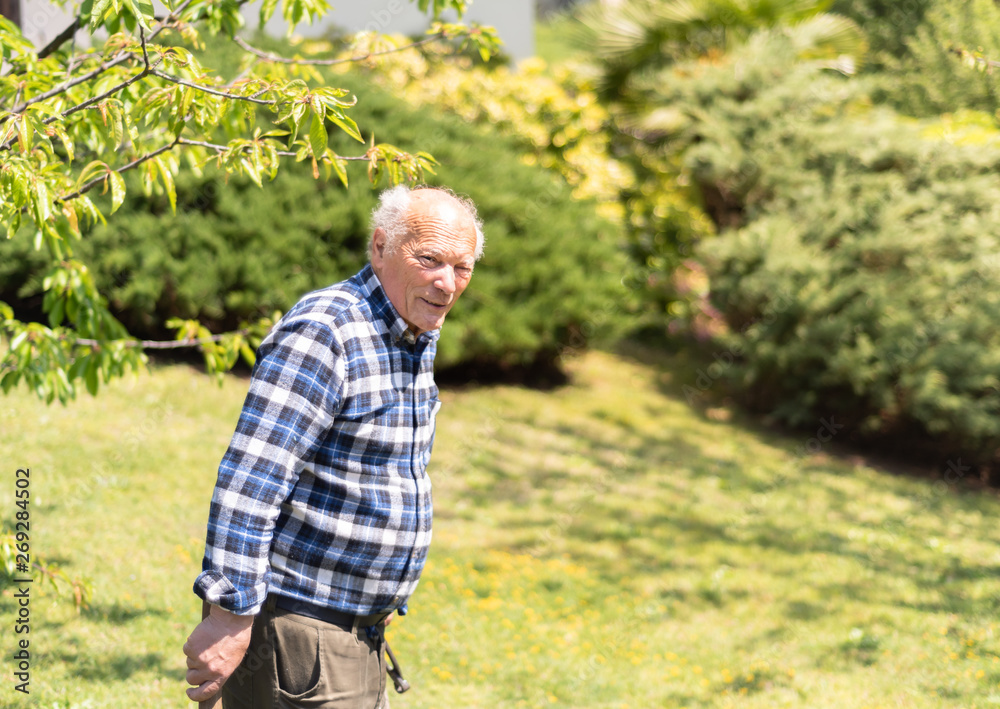 Fototapeta premium Portrait of Senior man in the garden.