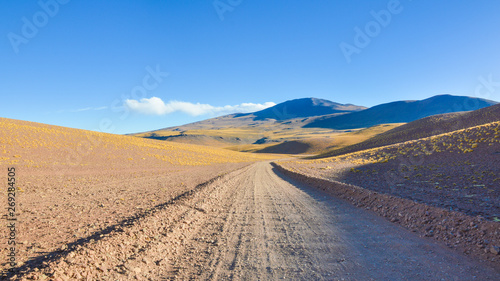 Dirt track close to Tolar Grande  in the vastity of Puna  Argentina