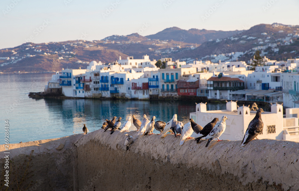 doves on background greek island Mykonos.