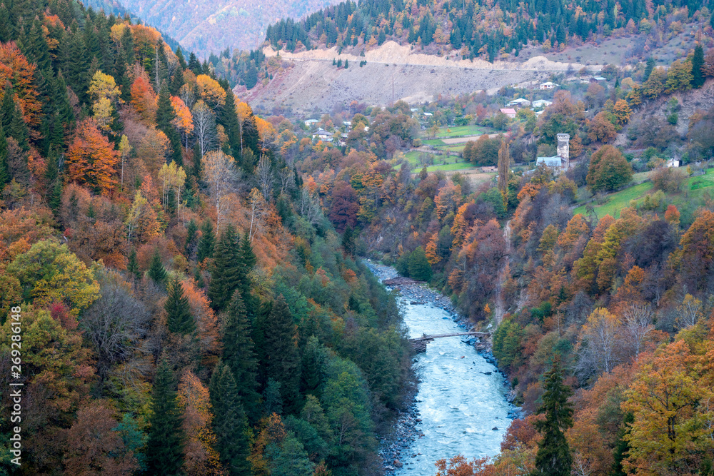colorful trees in the mountains of Svaneti in the fall. Beautiful landscape colorful trees in the mountains of Svaneti in the fall. Beautiful landscape
