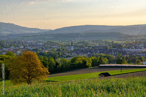 Stadt Bülach in der Dämmerung vom Eschenmosen, Schweiz