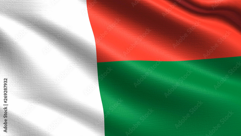 Obraz premium Madagascar Flag