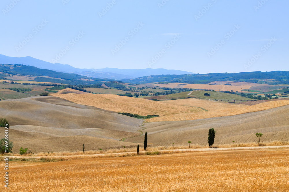 Curves background. Tuscany hills summer landscape