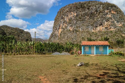 Cuba, vignales, tobaccofarms, countryside, tobacco photo