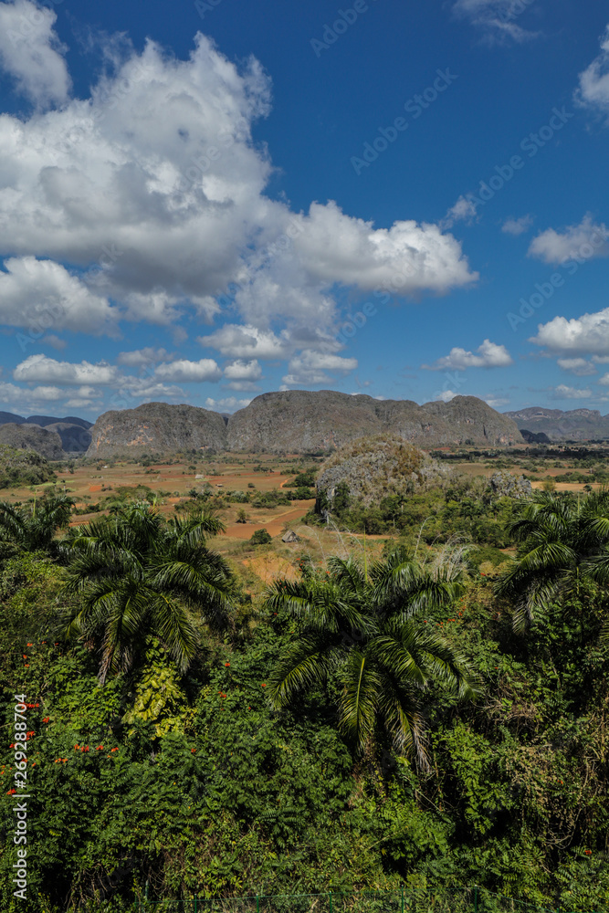 Cuba, vignales, tobaccofarms, countryside, tobacco