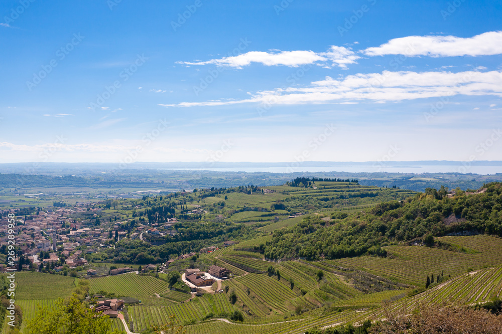Valpolicella hills landscape, Italian viticulture area, Italy
