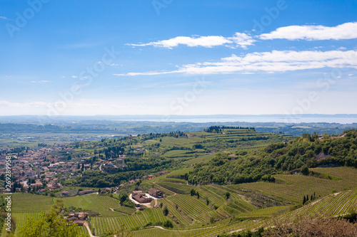 Valpolicella hills landscape, Italian viticulture area, Italy
