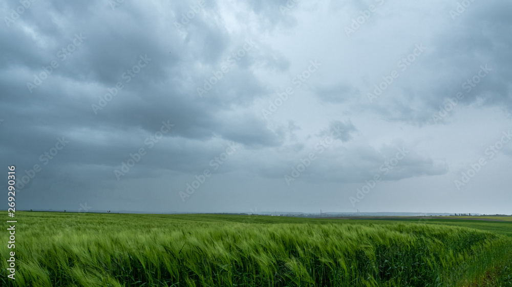 Rainy clouds on a green field