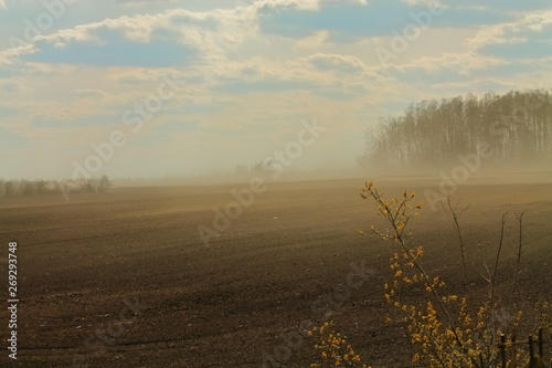 dust storm on the field. on the field sandstorm. strong wind drives the sand. buried in the sand box. a strong wind blows a hurricane
