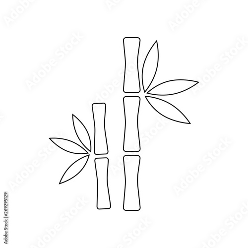 Bamboo tree icon. Element of Spa for mobile concept and web apps icon. Outline, thin line icon for website design and development, app development