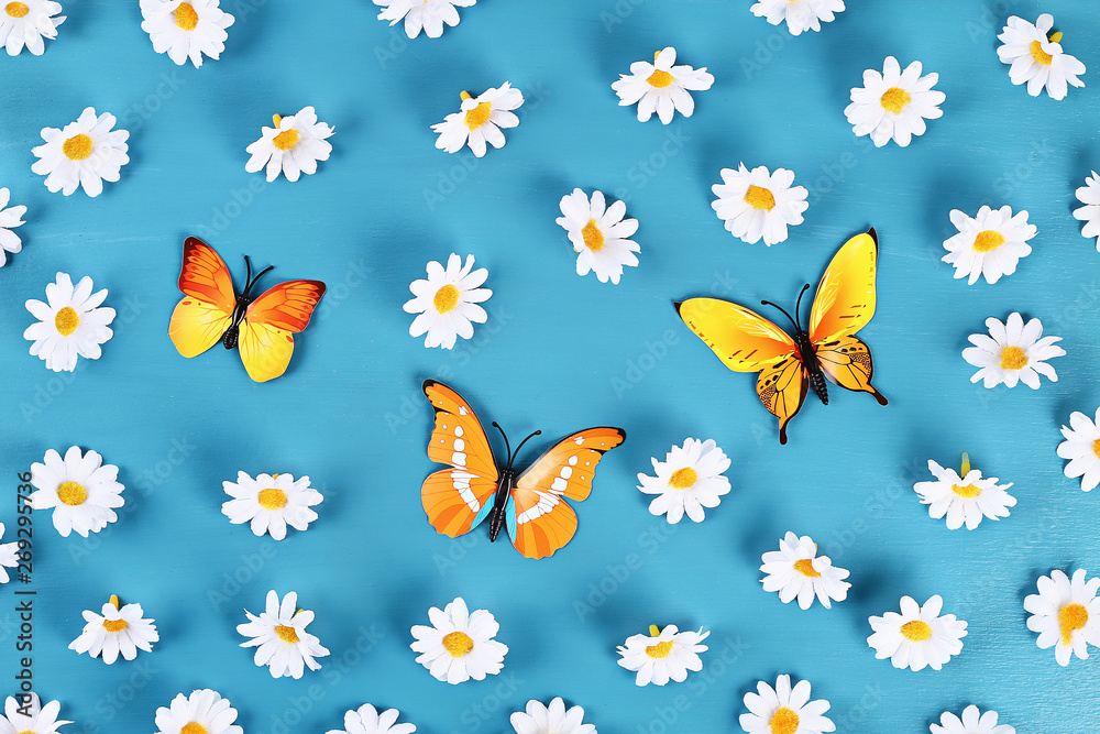 Obraz premium Yellow and orange butterflies and daisies on blue background. Top view. Summer background. Flat lay.