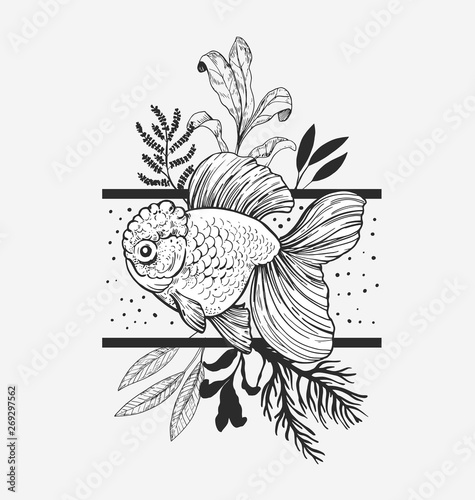 Goldfish, plants and geometry. Modern illustration. Great for printing on t-shirts, tattoo sketches. Vector