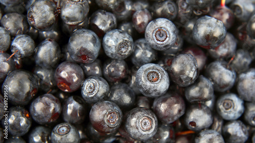 plenty of fresh blueberries closeup. vitamin healthy food.