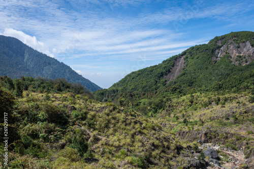 A thick forest on mount Papandayan with clear blue sky. Papandayan Mountain is one of the favorite place to hike on Garut.