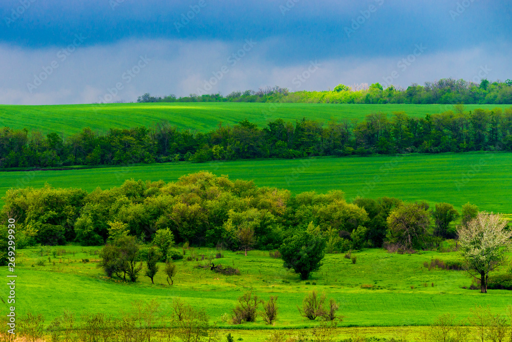 Beautiful landscape, green and yellow field. Dramatic sky with clouds.