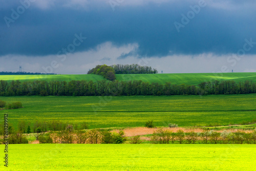 Beautiful landscape  green and yellow field. Dramatic sky with clouds.