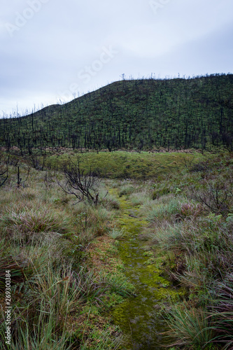 Dead forest of mount Papandayan is the most popular place for tourist. The beauty of heritage of volcanic eruption on the past. Papandayan Mountain is one of the favorite place to hike on Garut.