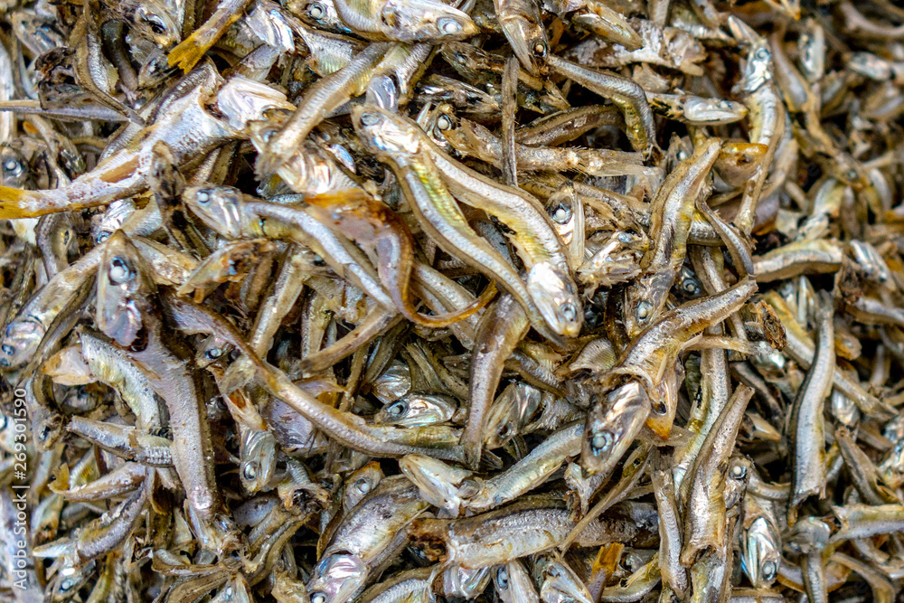 Close-up of tiny fish for sale at Jagalchi Fish Market in Busan, South Korea 