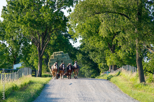 Team of Horses Pulling Hay Wagon down Rural Road
