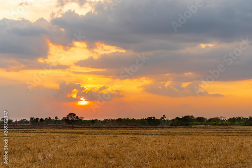 Golden beautiful Sunset and clear at dry grass fields in the countryside at evening