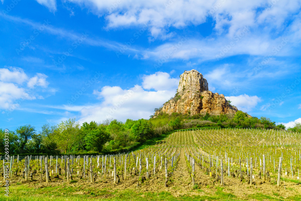 Rock of Solutre (la roche), in Burgundy