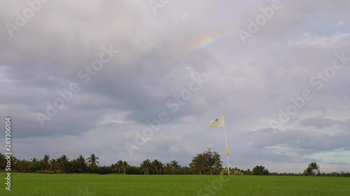 Tropical golf gourse with palm trees and rainbow in the sky photo