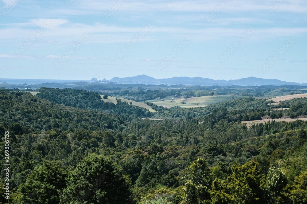 Aerial view of a bush forest at the countryside