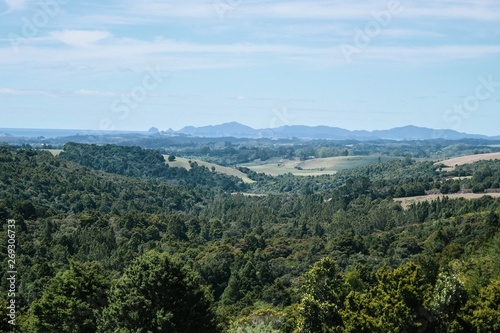 Aerial view of a bush forest at the countryside