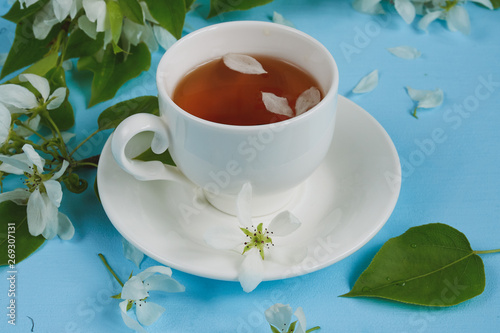 cup of tea with petals of an apple tree on a blue background