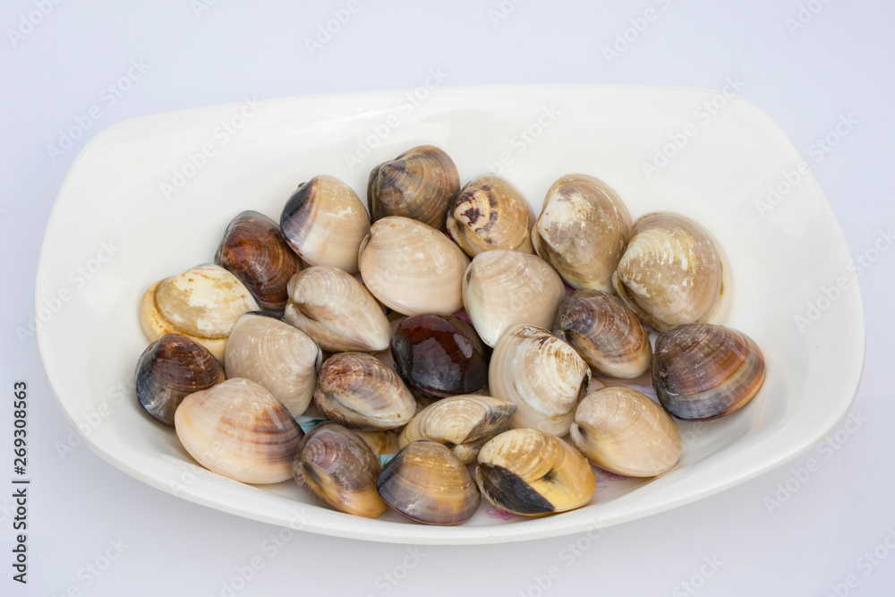 Image Of Fresh Enamel Venus Shell Meretrix Lyrata In The Dish