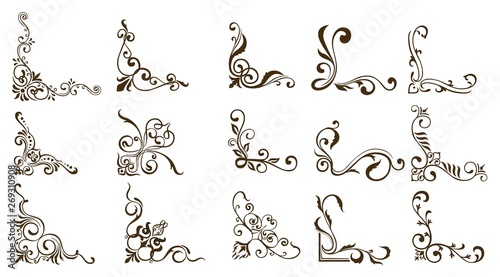 Decorative of Calligraphy swirls swashes ornate motifs and scrolls Vector illustration photo
