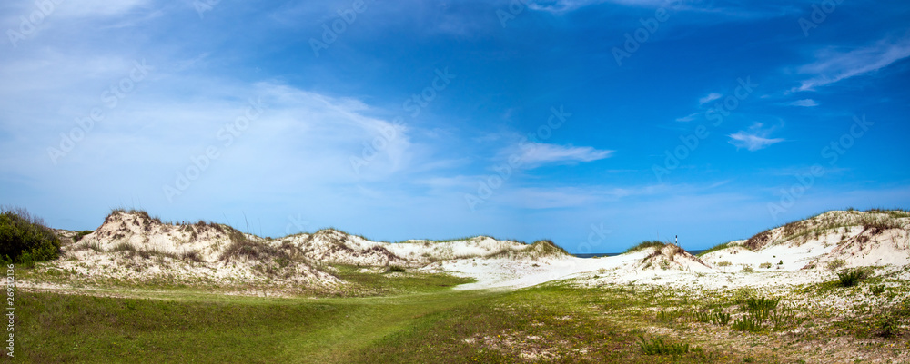 Sand dunes at Cumberland Island National Seashore.
