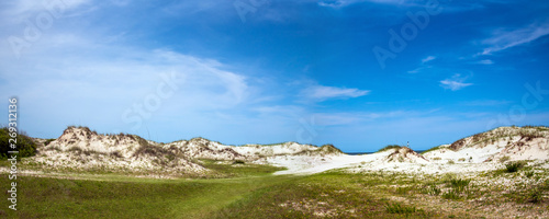Sand dunes at Cumberland Island National Seashore.