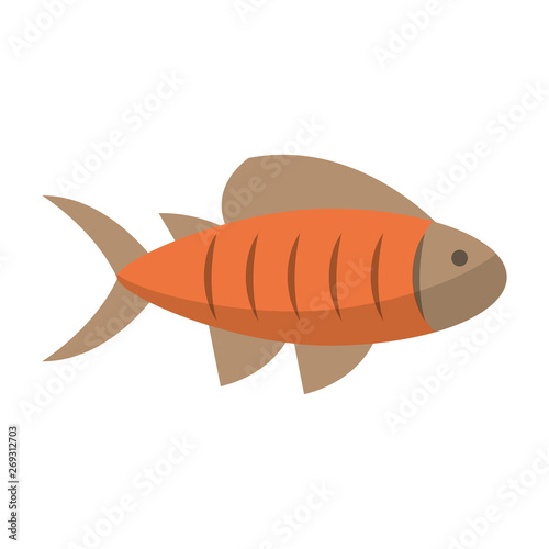 Fish seafood symbol cartoon isolated