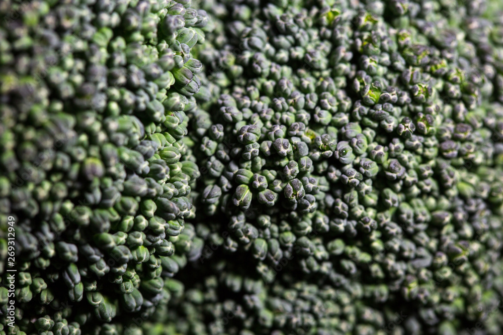broccoli raw fresh close up broccoli raw fresh close up