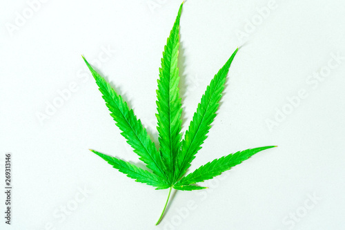 Cannabis(Drugs) marijuana leaf closeup on white background.