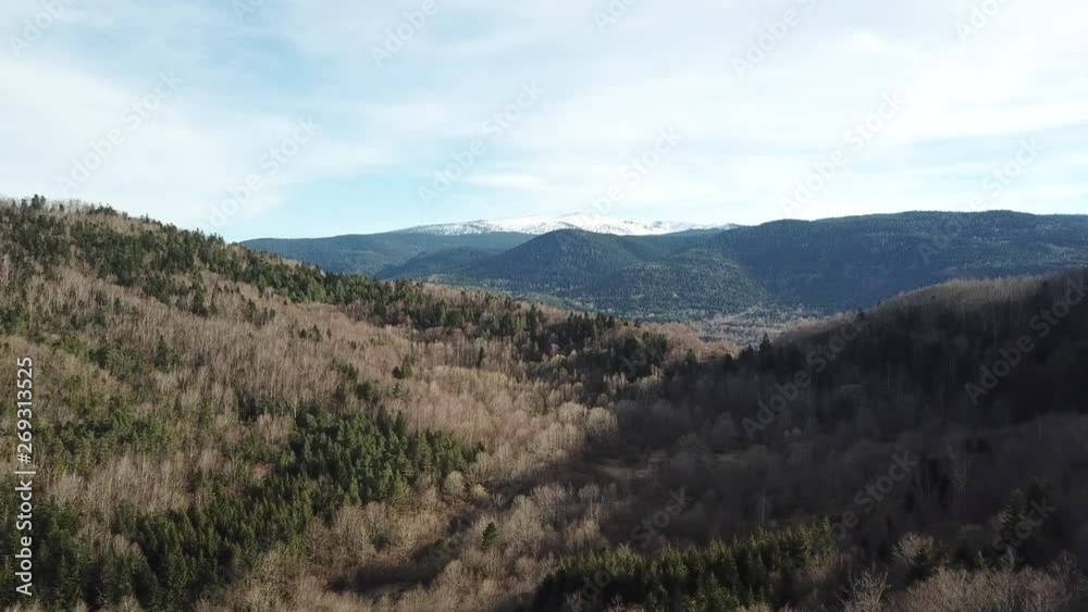 aerial view of pyrenean forest in Occitanie, Aude in the South of France aerial view of pyrenean forest in Occitanie, Aude in the South of France
