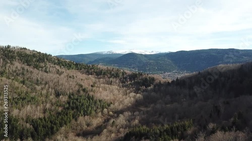 aerial view of pyrenean forest in Occitanie, Aude in the South of France