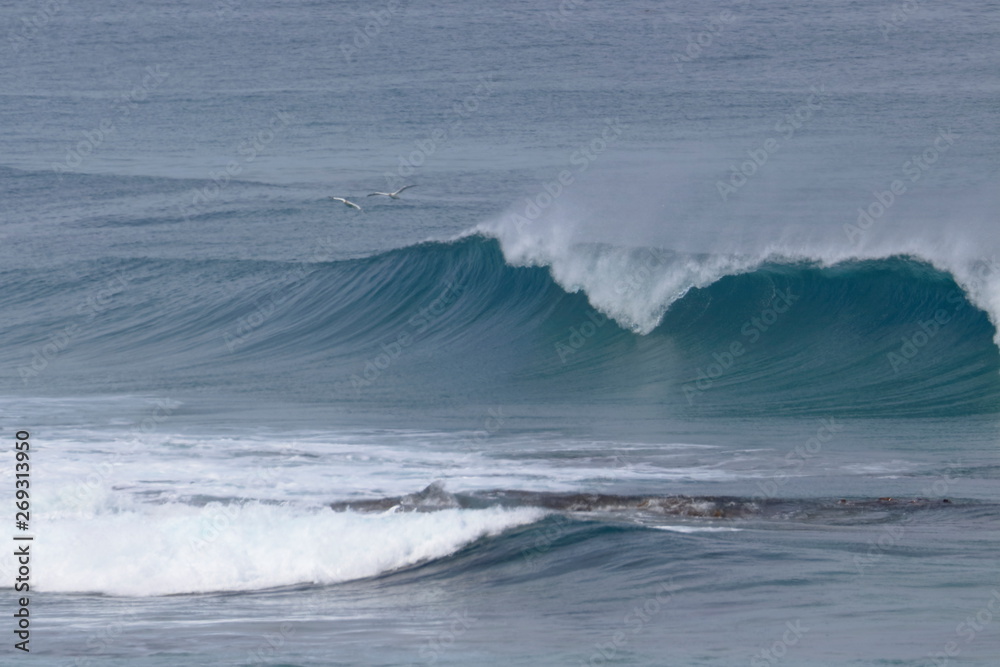 Fototapeta premium waves